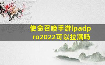 使命召唤手游ipadpro2022可以拉满吗