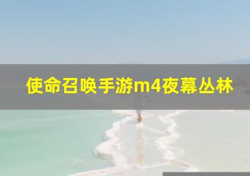 使命召唤手游m4夜幕丛林