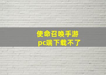 使命召唤手游pc端下载不了