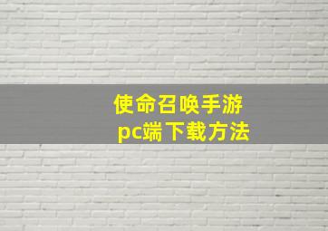 使命召唤手游pc端下载方法