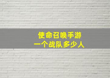 使命召唤手游一个战队多少人