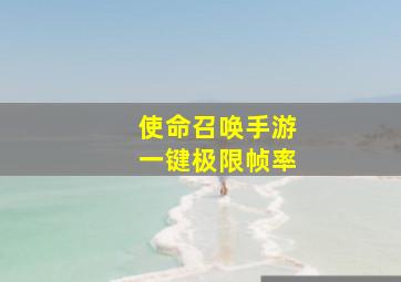 使命召唤手游一键极限帧率