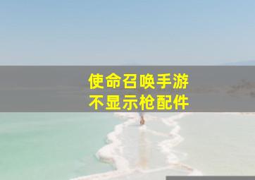 使命召唤手游不显示枪配件