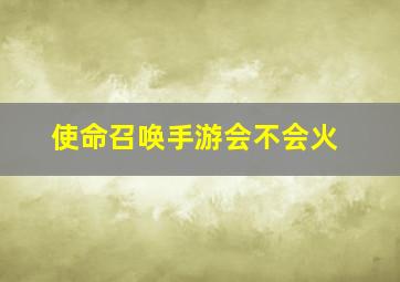 使命召唤手游会不会火