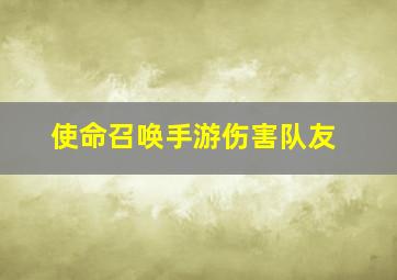 使命召唤手游伤害队友