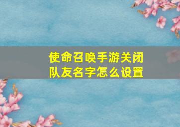 使命召唤手游关闭队友名字怎么设置