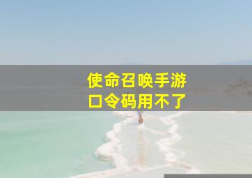 使命召唤手游口令码用不了