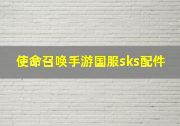 使命召唤手游国服sks配件