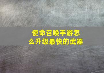 使命召唤手游怎么升级最快的武器