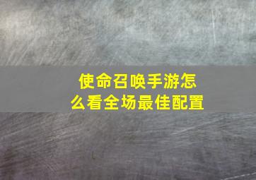 使命召唤手游怎么看全场最佳配置