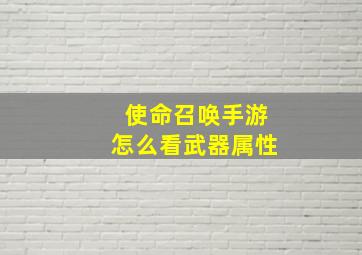 使命召唤手游怎么看武器属性