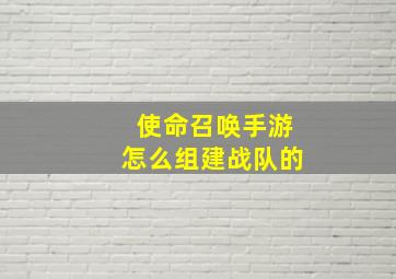 使命召唤手游怎么组建战队的