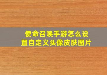 使命召唤手游怎么设置自定义头像皮肤图片