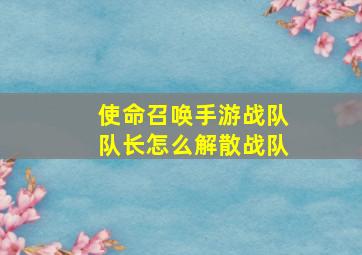 使命召唤手游战队队长怎么解散战队