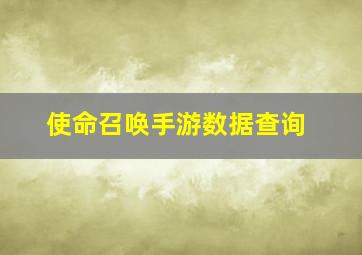 使命召唤手游数据查询