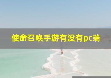 使命召唤手游有没有pc端