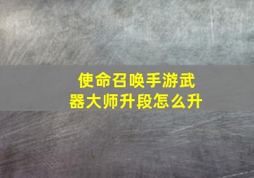 使命召唤手游武器大师升段怎么升