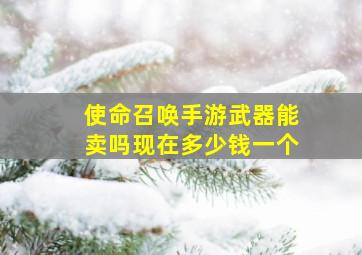 使命召唤手游武器能卖吗现在多少钱一个