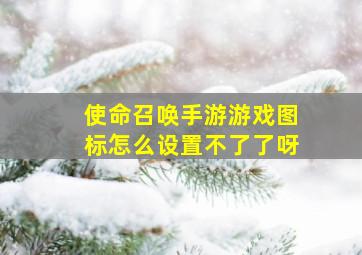 使命召唤手游游戏图标怎么设置不了了呀