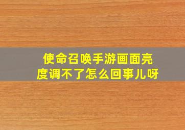 使命召唤手游画面亮度调不了怎么回事儿呀