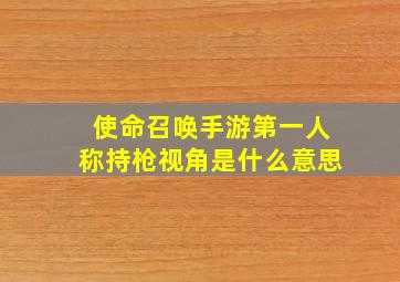 使命召唤手游第一人称持枪视角是什么意思