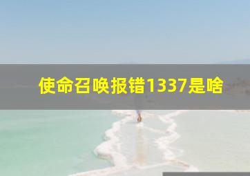 使命召唤报错1337是啥