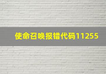 使命召唤报错代码11255