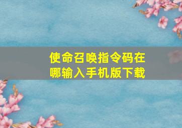 使命召唤指令码在哪输入手机版下载