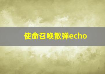 使命召唤散弹echo