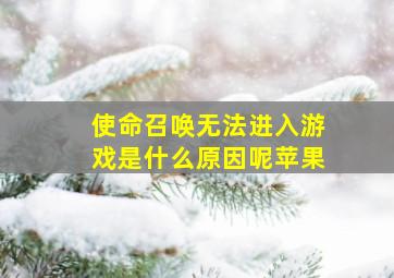 使命召唤无法进入游戏是什么原因呢苹果