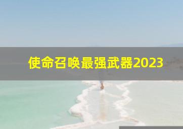 使命召唤最强武器2023