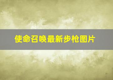 使命召唤最新步枪图片