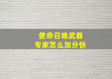 使命召唤武器专家怎么加分快