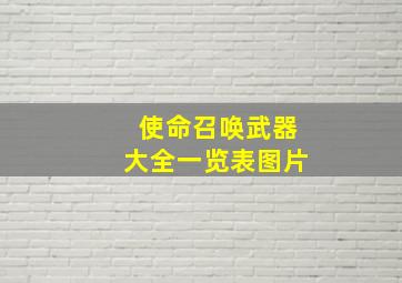 使命召唤武器大全一览表图片