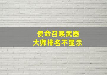 使命召唤武器大师排名不显示