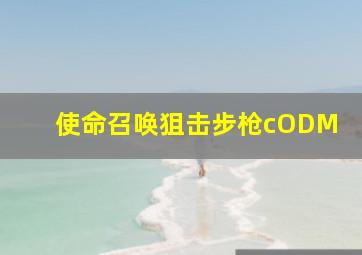 使命召唤狙击步枪cODM