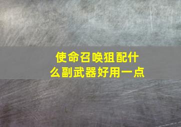 使命召唤狙配什么副武器好用一点