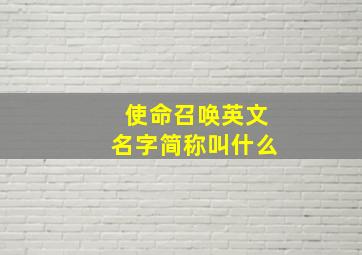 使命召唤英文名字简称叫什么