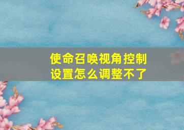 使命召唤视角控制设置怎么调整不了