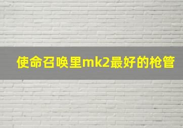 使命召唤里mk2最好的枪管