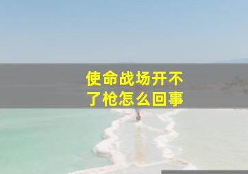 使命战场开不了枪怎么回事