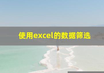 使用excel的数据筛选