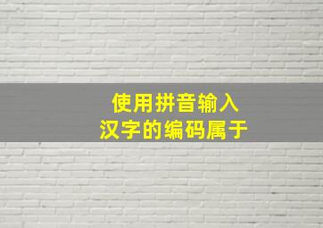 使用拼音输入汉字的编码属于