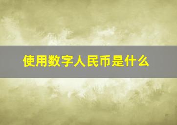 使用数字人民币是什么