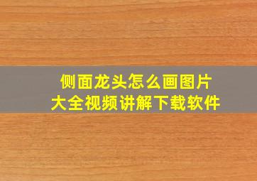 侧面龙头怎么画图片大全视频讲解下载软件