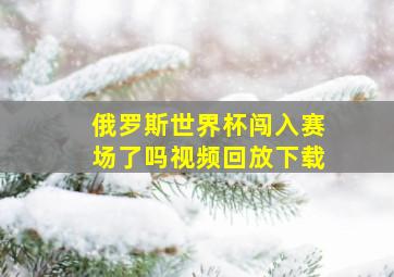 俄罗斯世界杯闯入赛场了吗视频回放下载