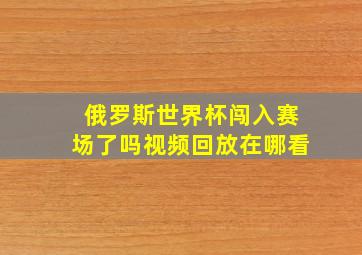 俄罗斯世界杯闯入赛场了吗视频回放在哪看