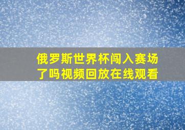 俄罗斯世界杯闯入赛场了吗视频回放在线观看