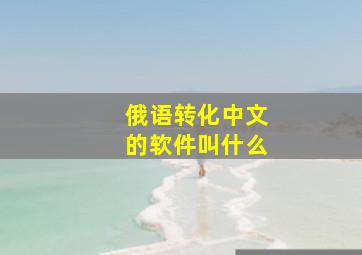 俄语转化中文的软件叫什么