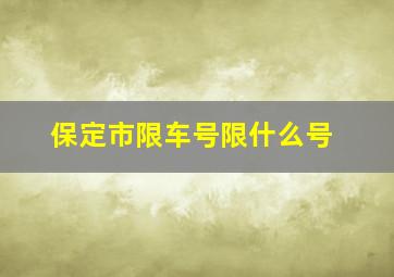 保定市限车号限什么号